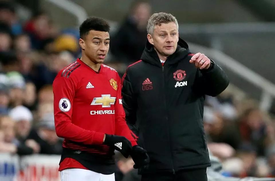 赛通过引进 赛通过引进